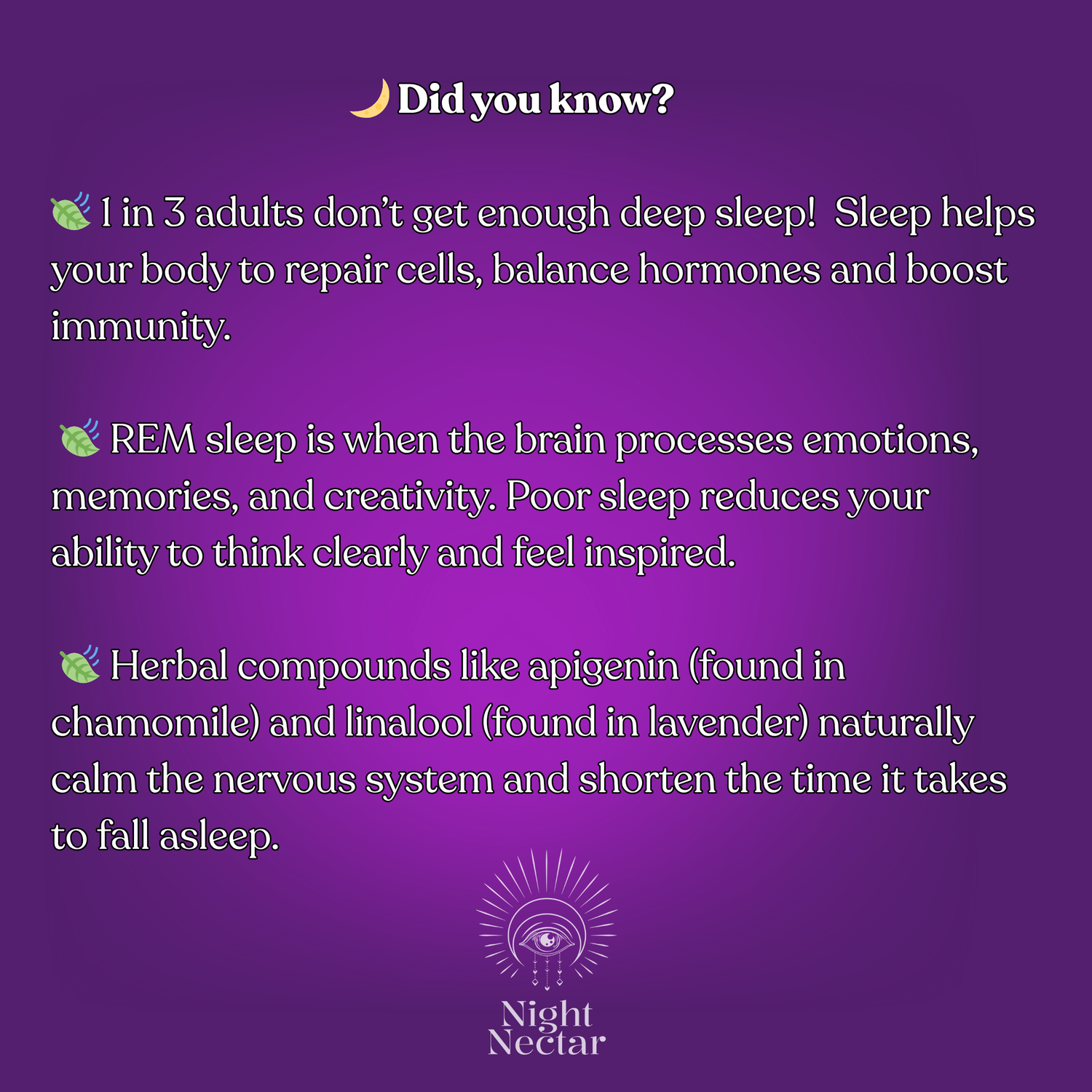 Premium Herbal Sleep Tea Bags (12 Pack)