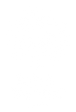 Night Nectar